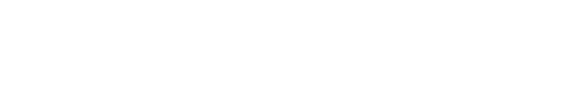 Saloos logo